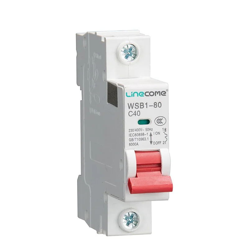 WSB1-80 Miniature Circuit Breaker 1